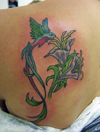 Looking for unique Wildlife tattoos Tattoos?  humming bird on the shoulder