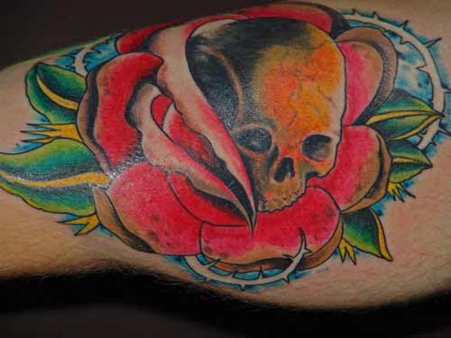 Tattoo Galleries: skull rose  Tattoo Design