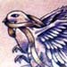 Tattoo Galleries: Dove of Peace Tattoo Design