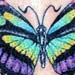 Tattoo Galleries: Lower Back Butterfly Tattoo Tattoo Design