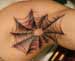 Tattoo Galleries: spider web Tattoo Design