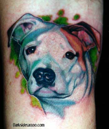 Tattoo Galleries: pitbull Tattoo Design