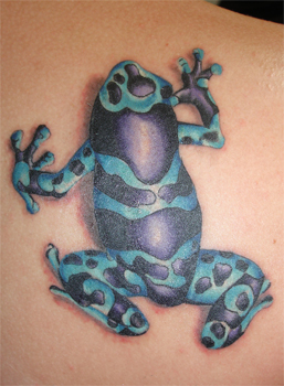 Jason Ackerman - dart frog