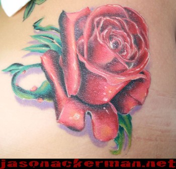 Jason Ackerman - rose tattoo