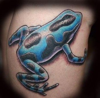 Mike Pace - Dart Frog