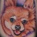 Tattoos - Pomeranian Portrait - 34661