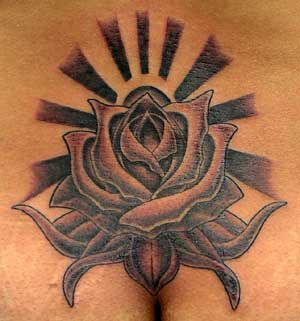Tattoo Galleries: lascivious rose Tattoo Design