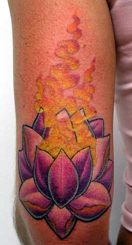 Tattoo Galleries: lovely lotus Tattoo Design