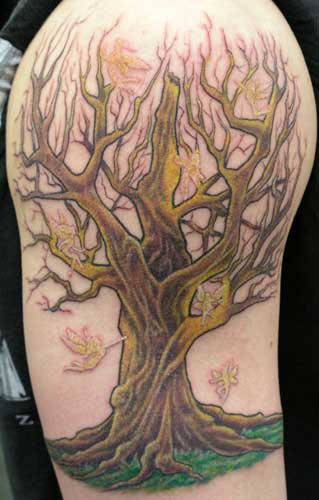 Tattoo Galleries: Tree Fairies (in progress) Tattoo Design