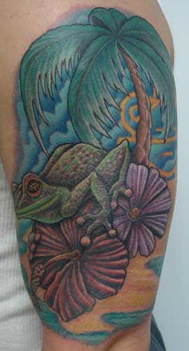 Gabriel Cece - tree frog