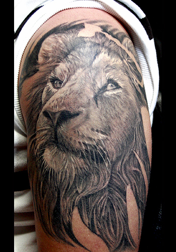 lion tattoos. Nature Animal Lion Tattoos