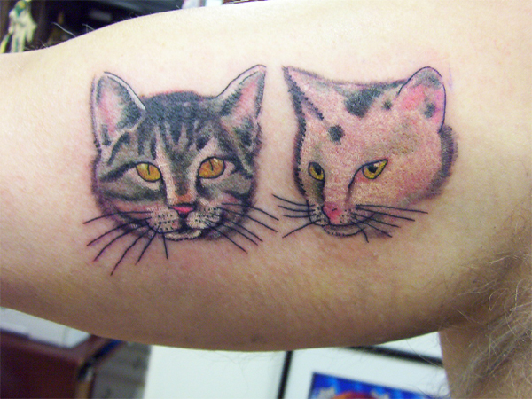 Looking for unique Color tattoos Tattoos?  cats