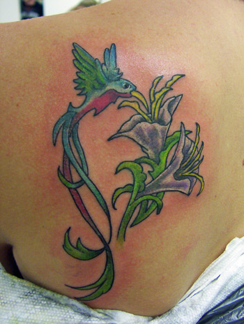 Looking for unique Nature Animal Wildlife tattoos Tattoos?  humming bird on the shoulder