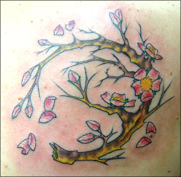 Looking for unique Traditional Japanese tattoos Tattoos Cherry Bloosom