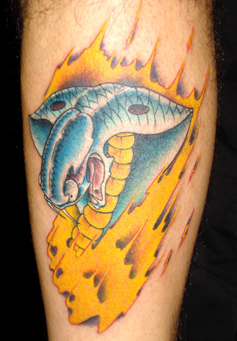 Looking for unique Nature Fire tattoos Tattoos Cobra