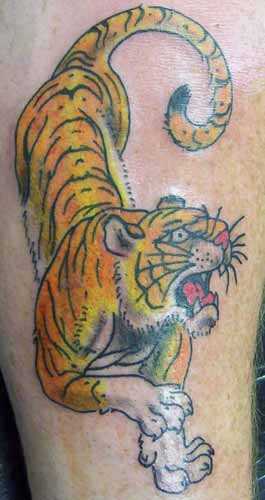Looking for unique Traditional Old School tattoos Tattoos Tiger