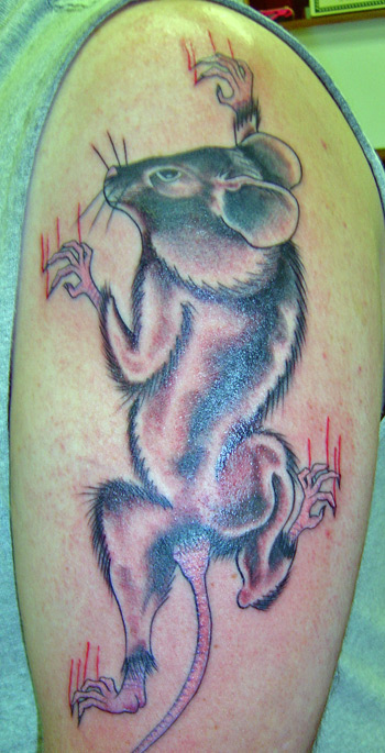 Looking for unique Tattoos? rodent