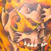 tattoo galleries/ - Flaming skull