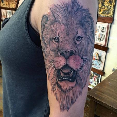 Realistic - Black and Grey Lion Portrait