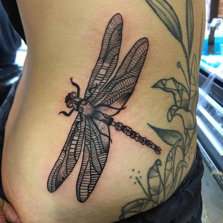 Blackwork - Dragon Fly Tattoo