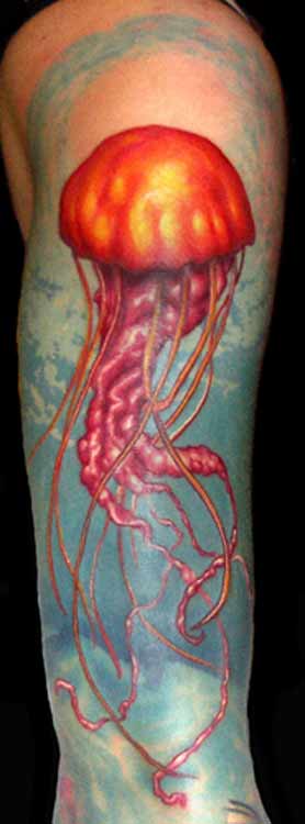 tattoos of jellyfish. Dominic - Kiras Jellyfish