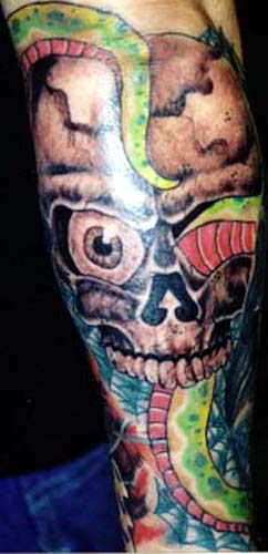 Anthony Lawton Tattoo Galleries: Snake Slithering through Skull design