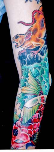 Asian Designs Tattoo Galleries: rat koi design