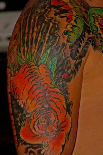 Anthony Lawton Tattoo Galleries: tiger snake design