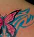 Anthony Lawton Tattoo Galleries: blue butterfly design