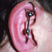 tattoo galleries/ - Ear Project