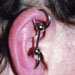 tattoo galleries/ - Ear Project