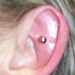 tattoo galleries/ - Conch Piercing