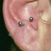 tattoo galleries/ - anti tragus