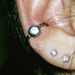 tattoo galleries/ - Conch with 