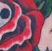 Anthony Lawton Tattoo Galleries: skull and rose design