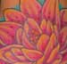 Anthony Lawton Tattoo Galleries: water lily design