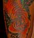 Asian Designs Tattoo Galleries: tiger snake design