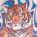 Anthony Lawton Tattoo Galleries: Tiger design