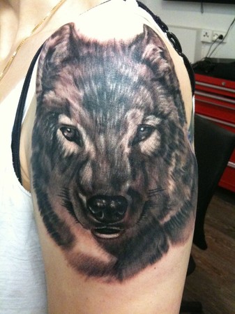 Mason - Black and Grey Wolf