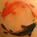 tattoo galleries/ - Koi Fish Tattoo