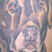 tattoo galleries/ - Dog Portrait Tattoo