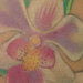 tattoo galleries/ - Orchids Tattoo