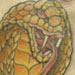 tattoo galleries/ - Snake with Tribal Tattoo