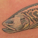 tattoo galleries/ - Trout Tattoo