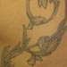 tattoo galleries/ - Vines tattoo