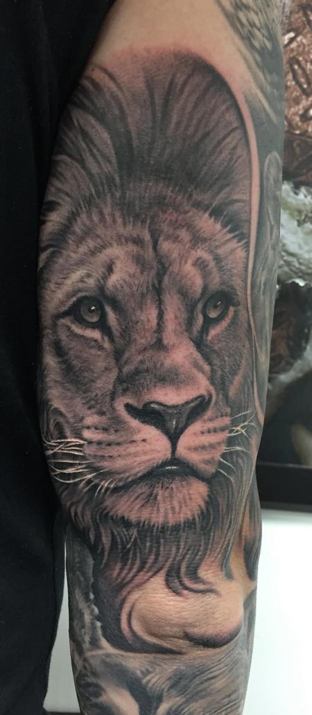 tattoos/ - Lion Portrait Tattoo - 115682