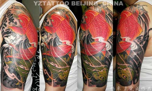Hot Koi Fish Tattoo Design By Japanese Designs