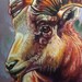 Tattoos - goat  - 51015