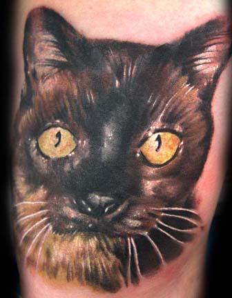 Looking for unique Cory Norris Tattoos Cat Tattoo