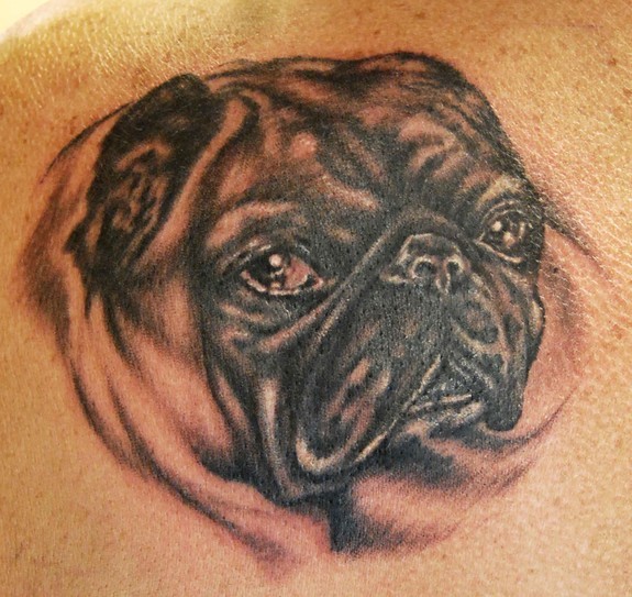 Ross Lloyd - Pug Large Image · Tattoos